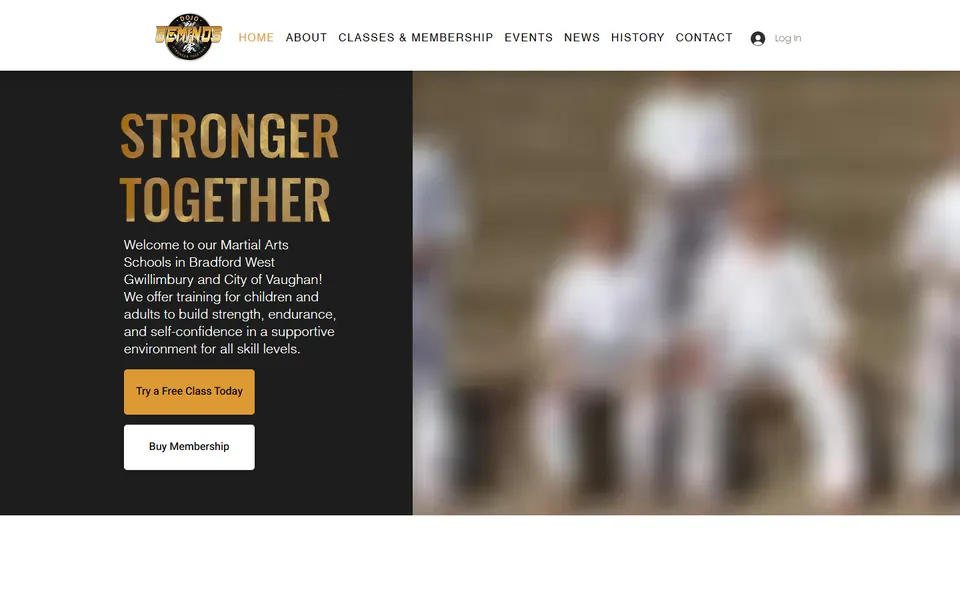 Geminos Dojo website